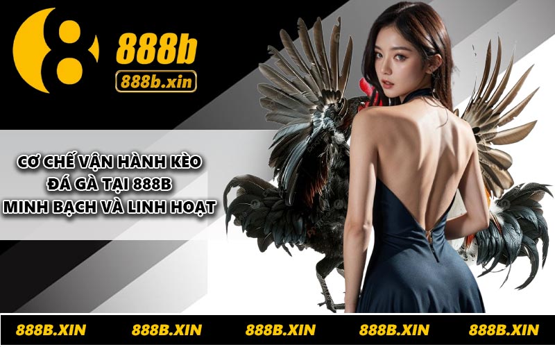 Cơ chế vận hành kèo đá gà tại 888B minh bạch và linh hoạt